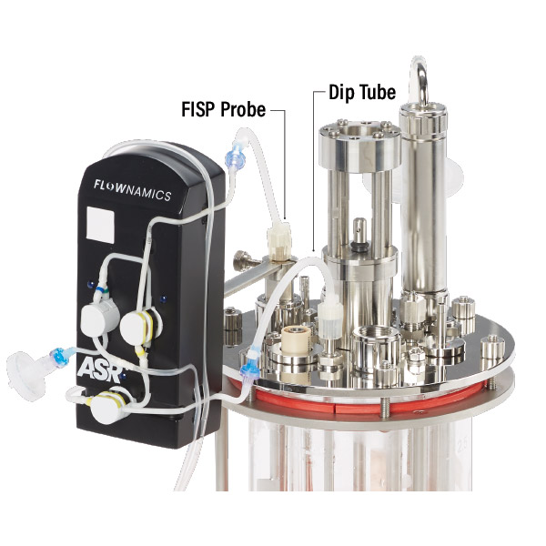 ASR+ FISP Dip Tubes
